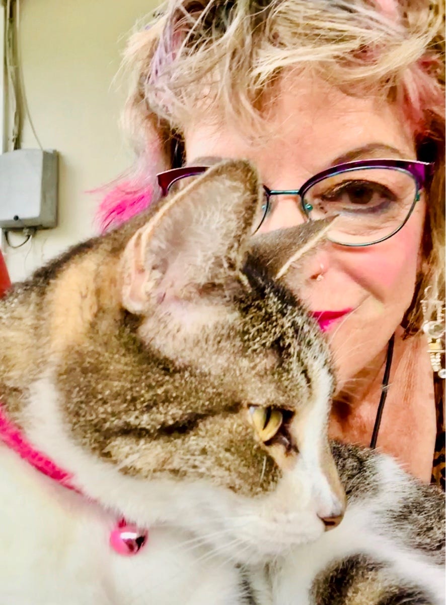 People following Suzanne Stokes