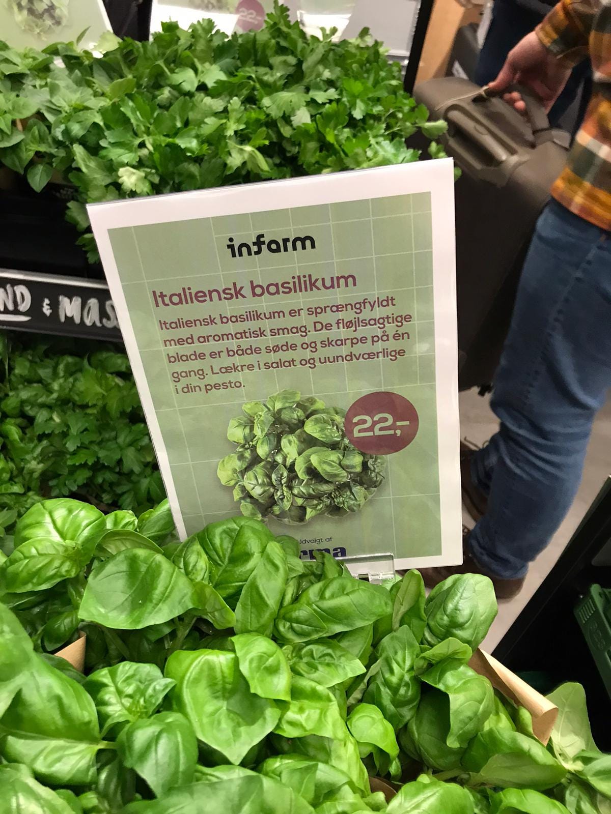 Grown and harvested in stores, Infarm produce, now in Copenhagen | by  infarm | Medium