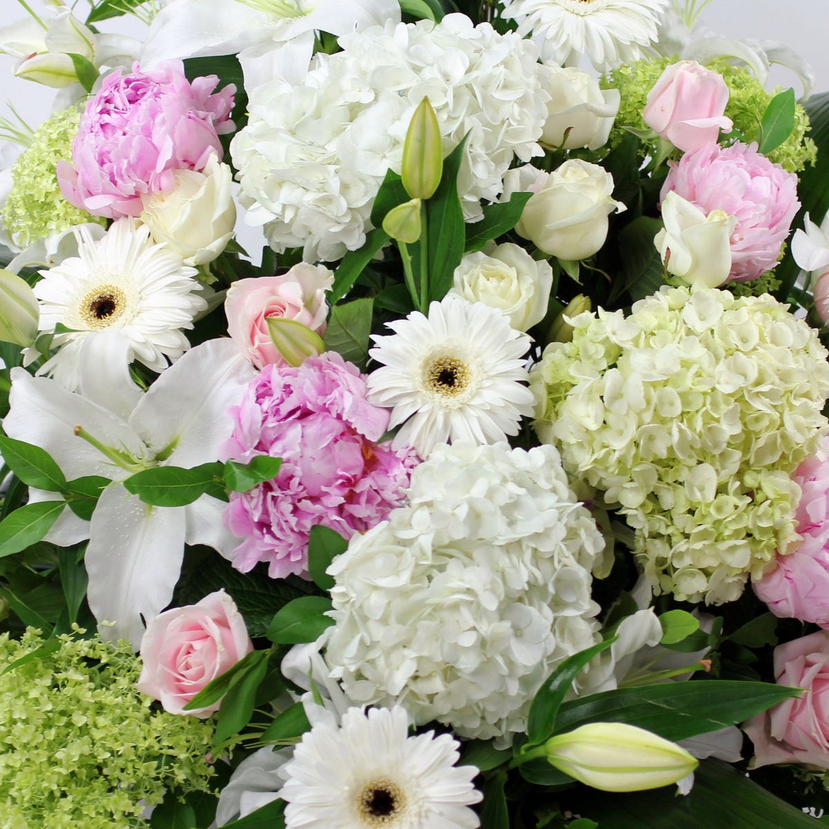 Grand and Glamorous Gerberas. at Flowers 11 Hours Flower Delivery