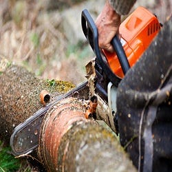 Nash Tree Service Kansas City