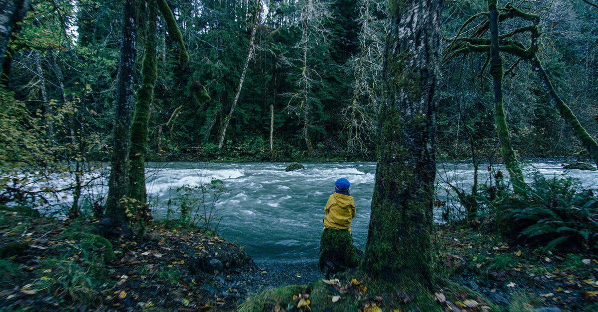 Passing On An Appreciation Of Nature | by American Rivers | Get Out. Enjoy.  Explore. | Medium