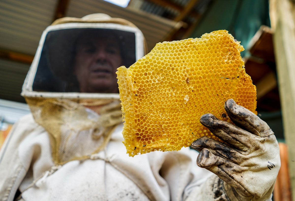 Un apiculteur et ses ruches au Costa Rica