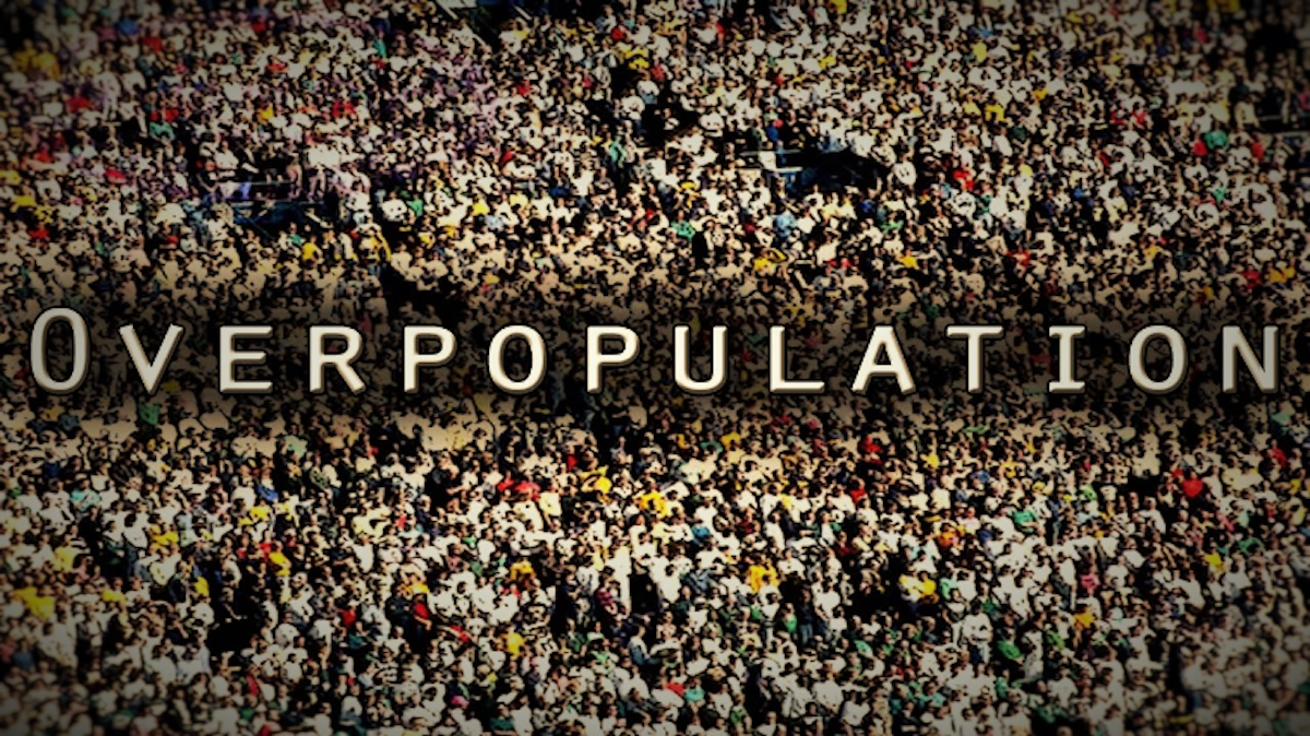 Overpopulation The Convoluted Problems Of Overpopulation