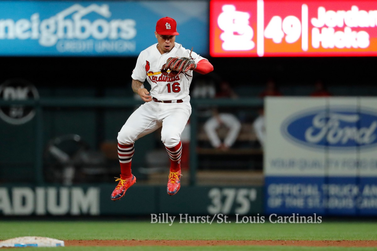 st louis cardinals gold jerseys