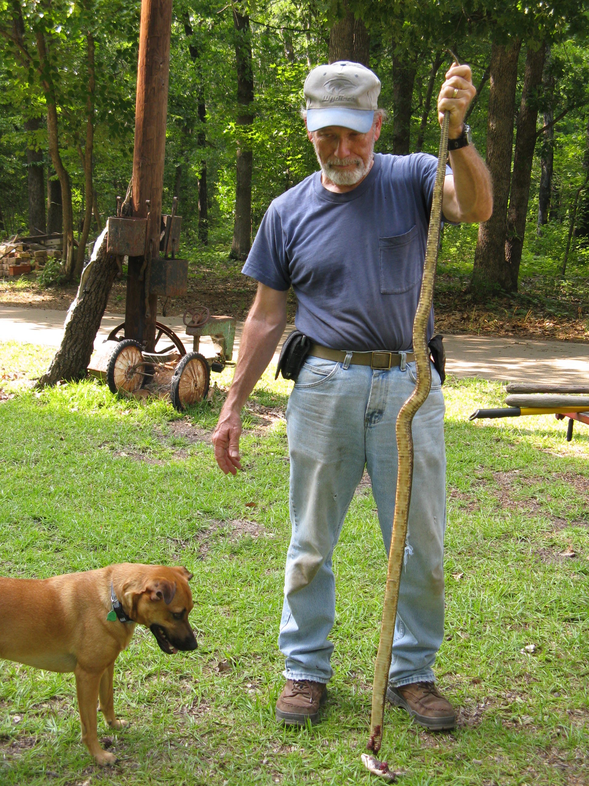 Jackson Goode – Medium photo