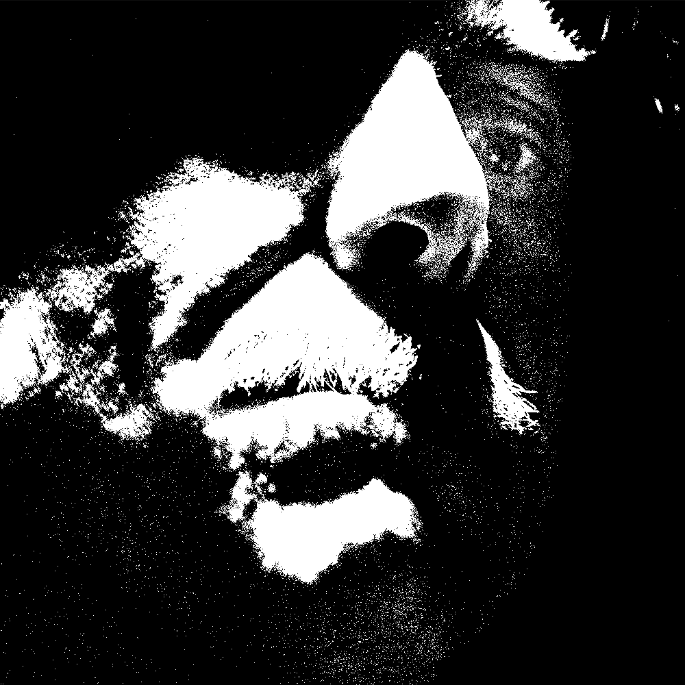 Friedrich August Medium