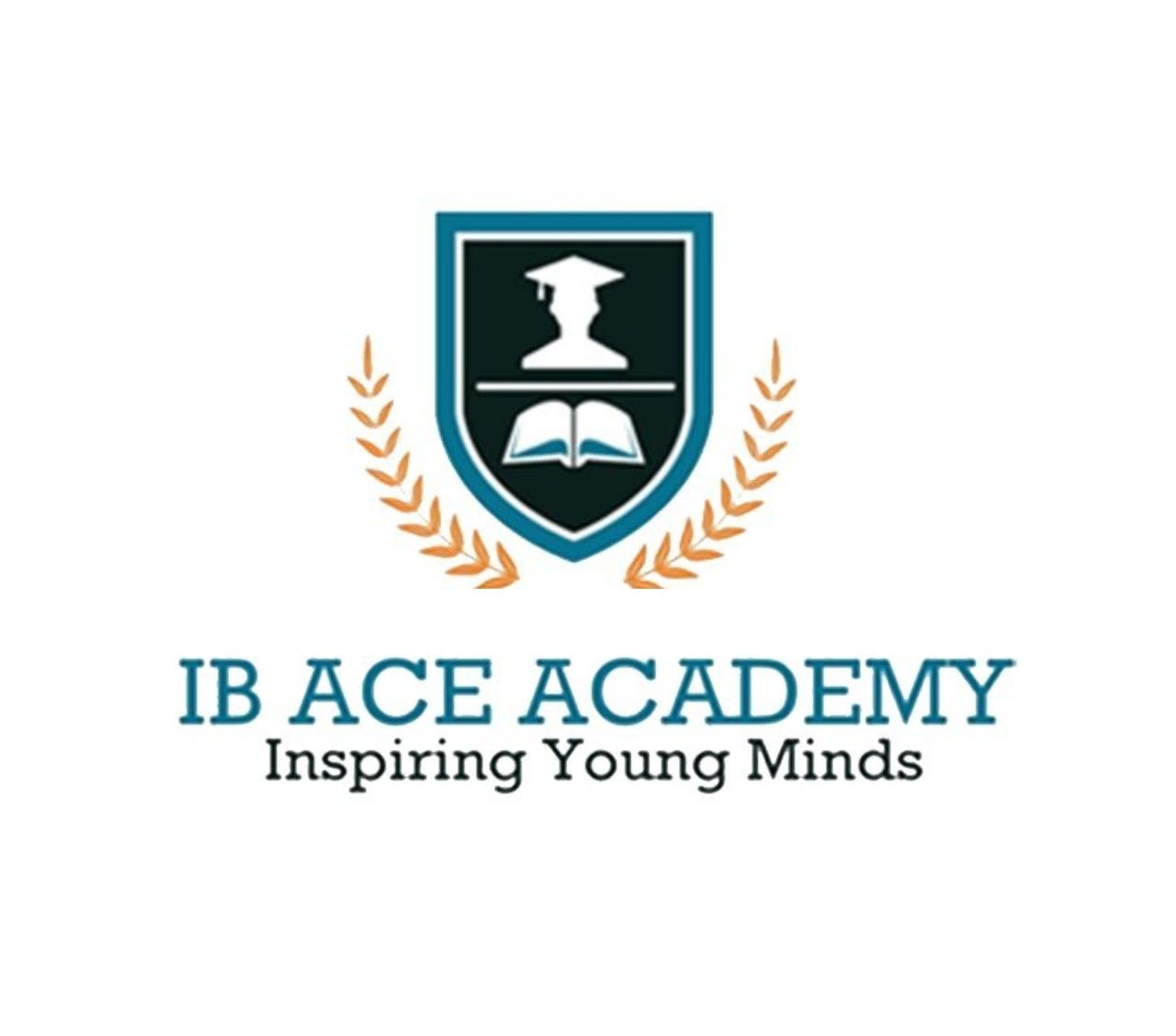 Ib Ace Academy Medium