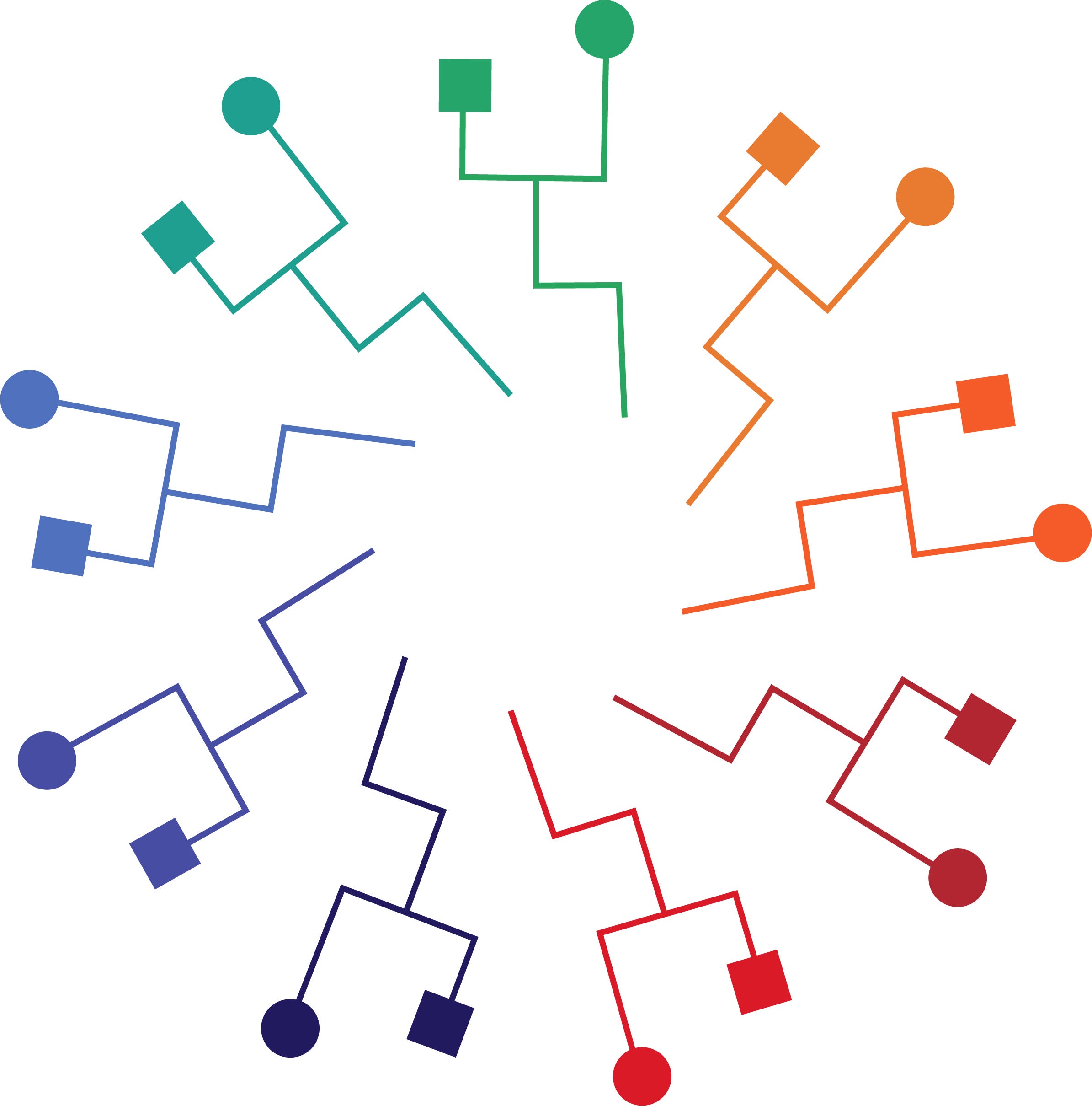 About The Language Network Medium