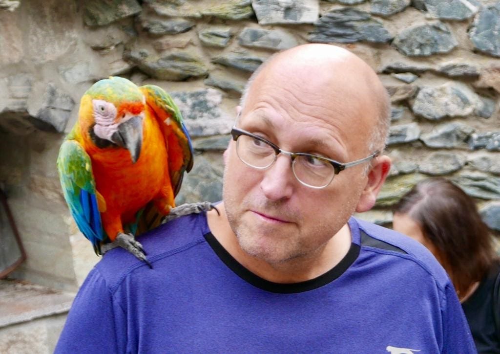 Martin pertz medium