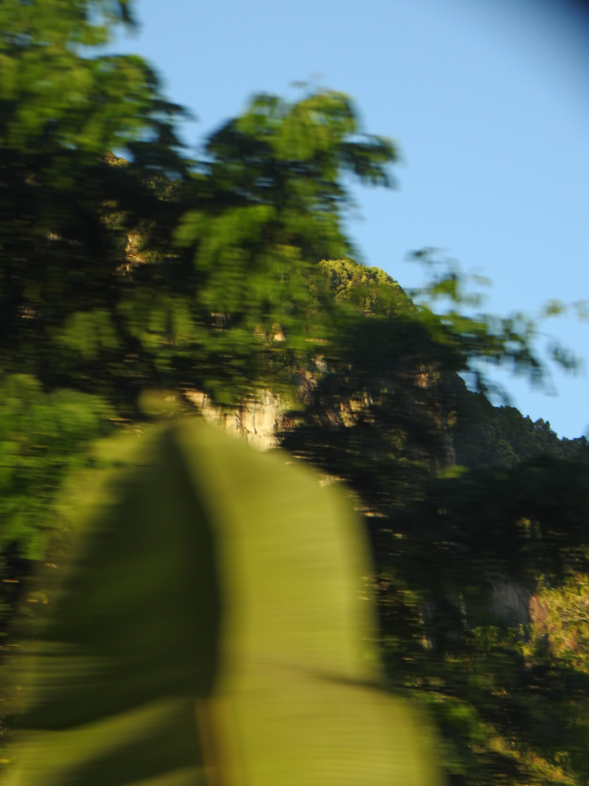 Voyeurism in Paradise