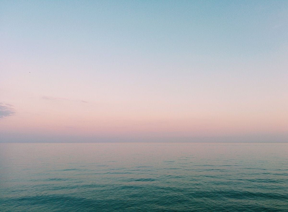 Before Bones Before Bones We Were Oceans And That By Ash Marx Medium medium