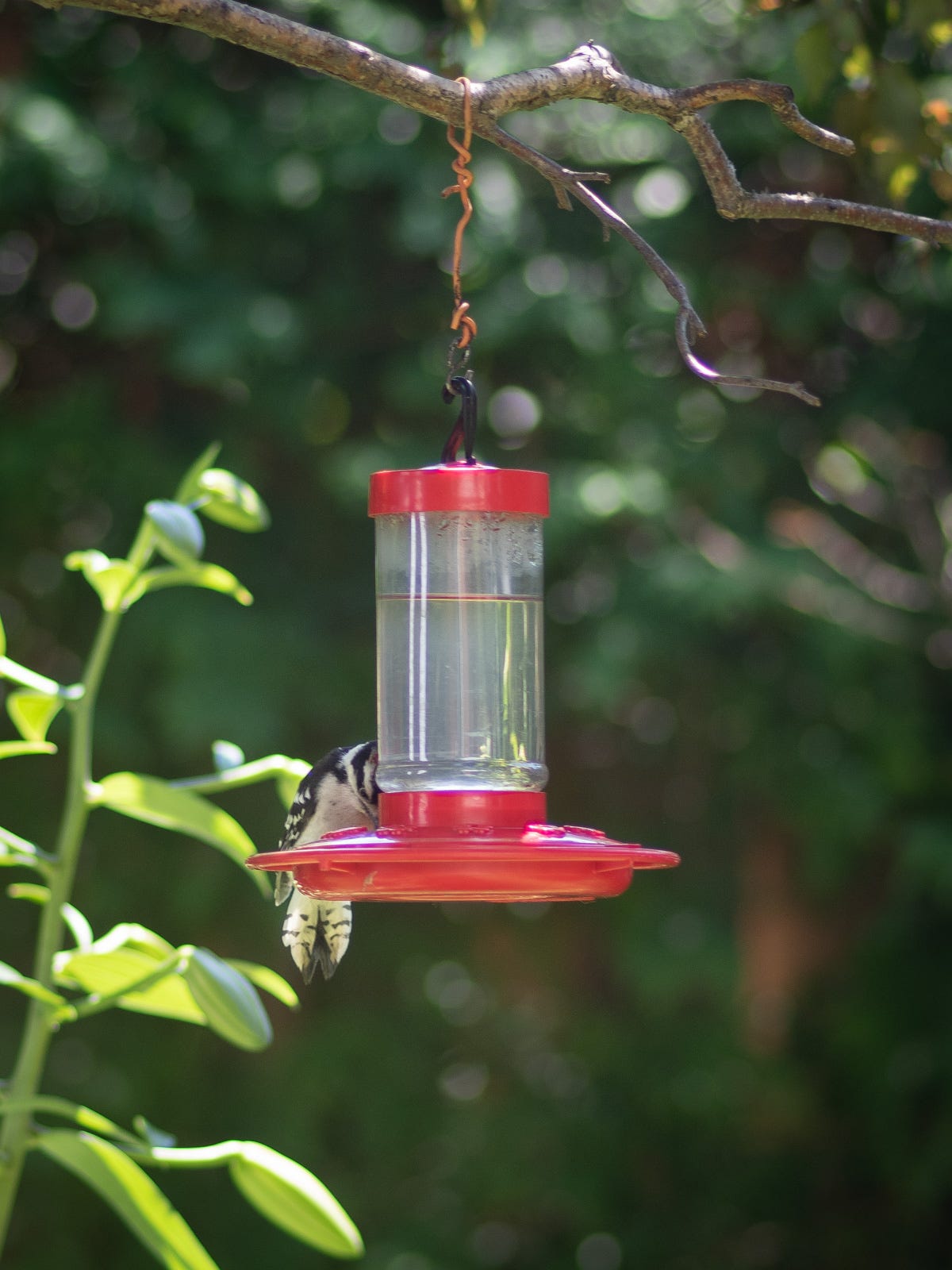 Unusual Visitor Snapshots Medium