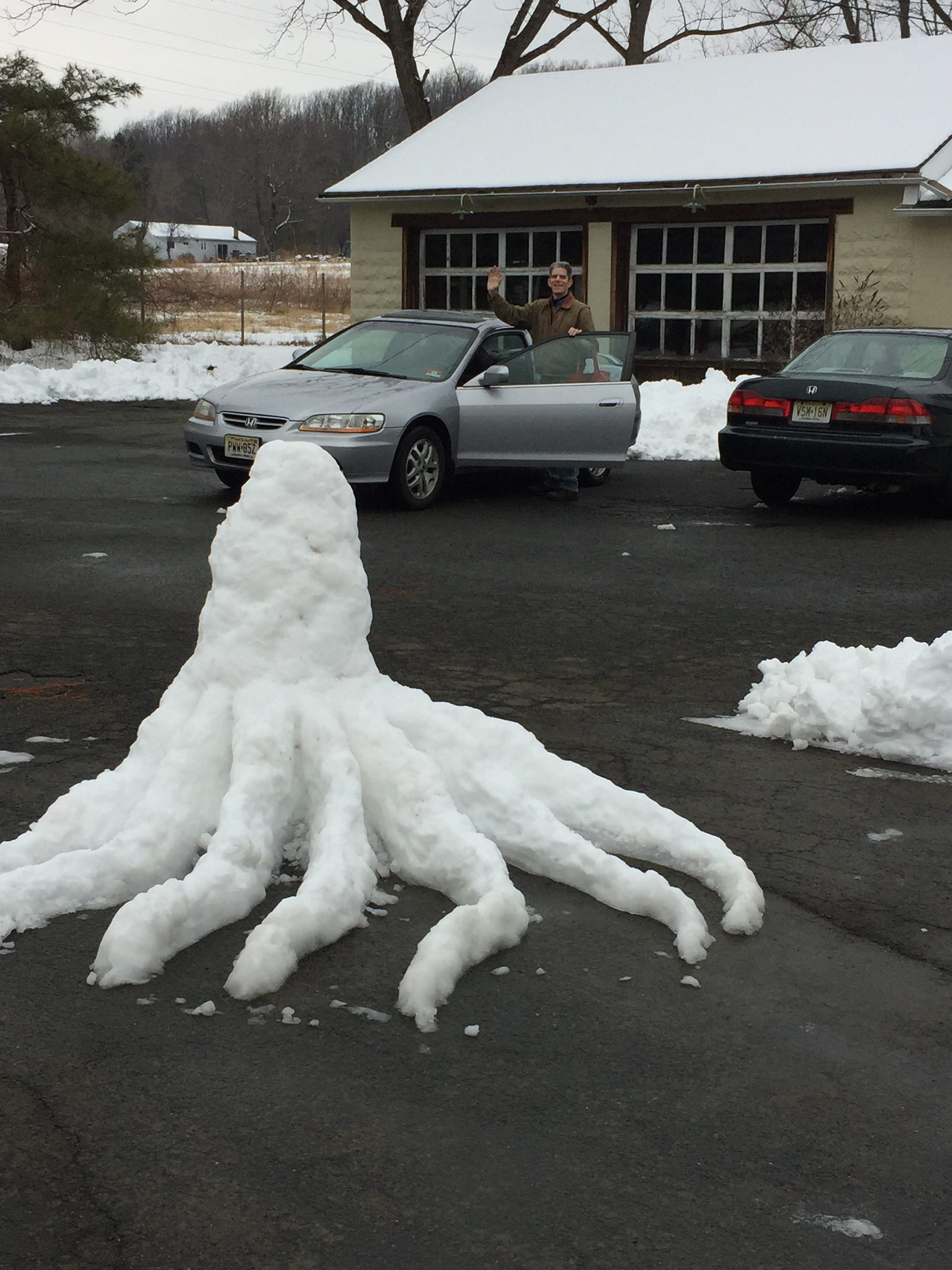 Matheson Westlake Medium