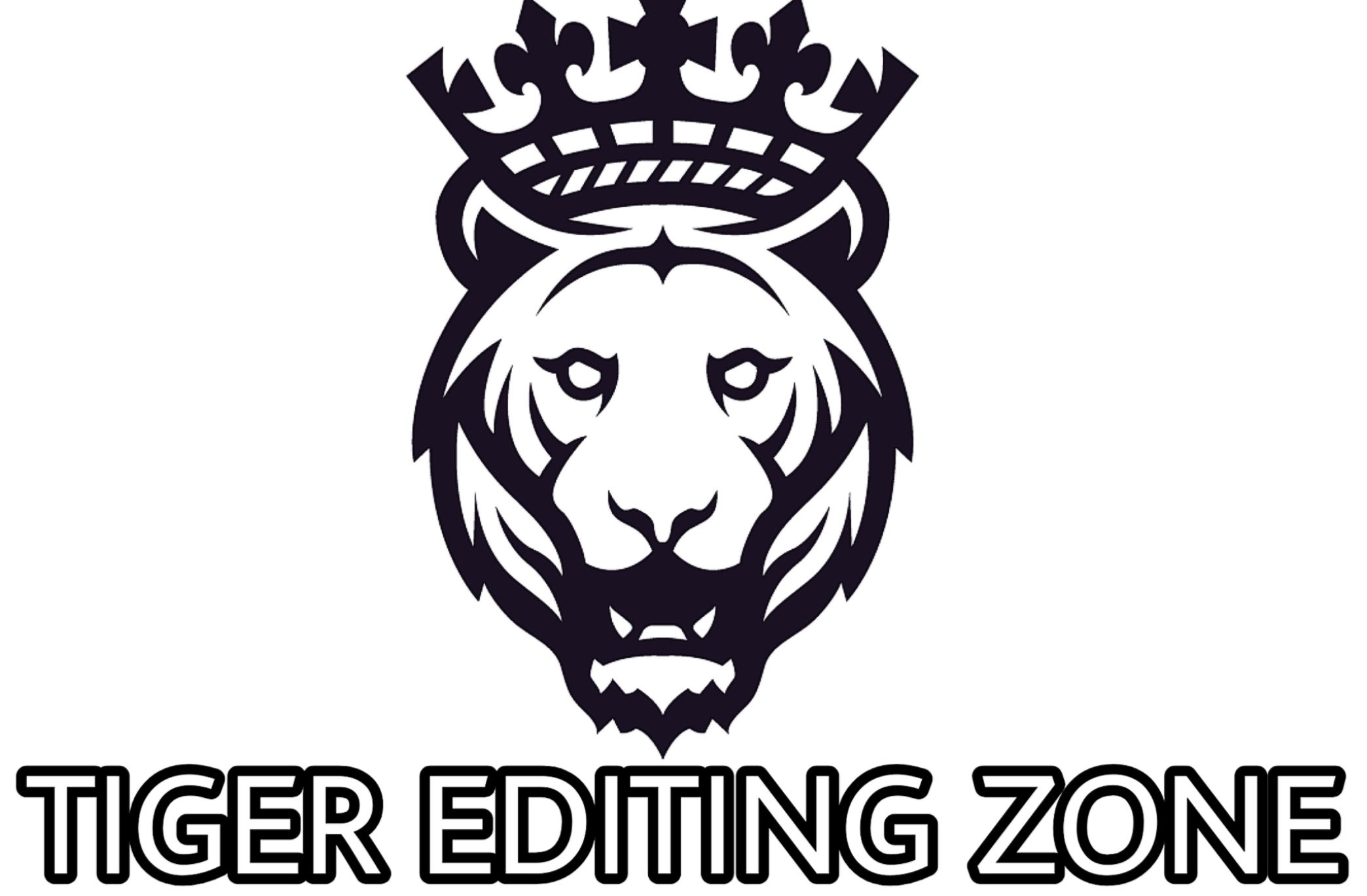 Tiger Editing Zone – Medium