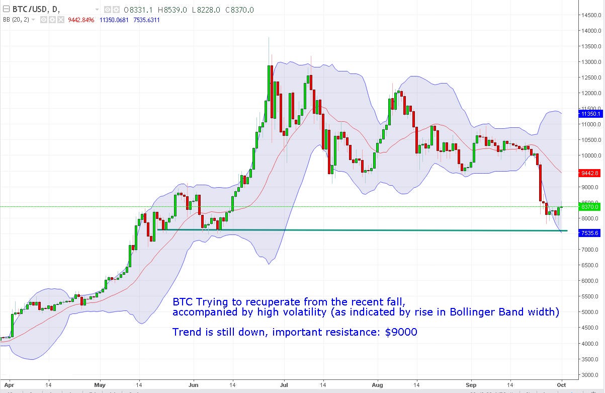 Crypto Volatility Chart