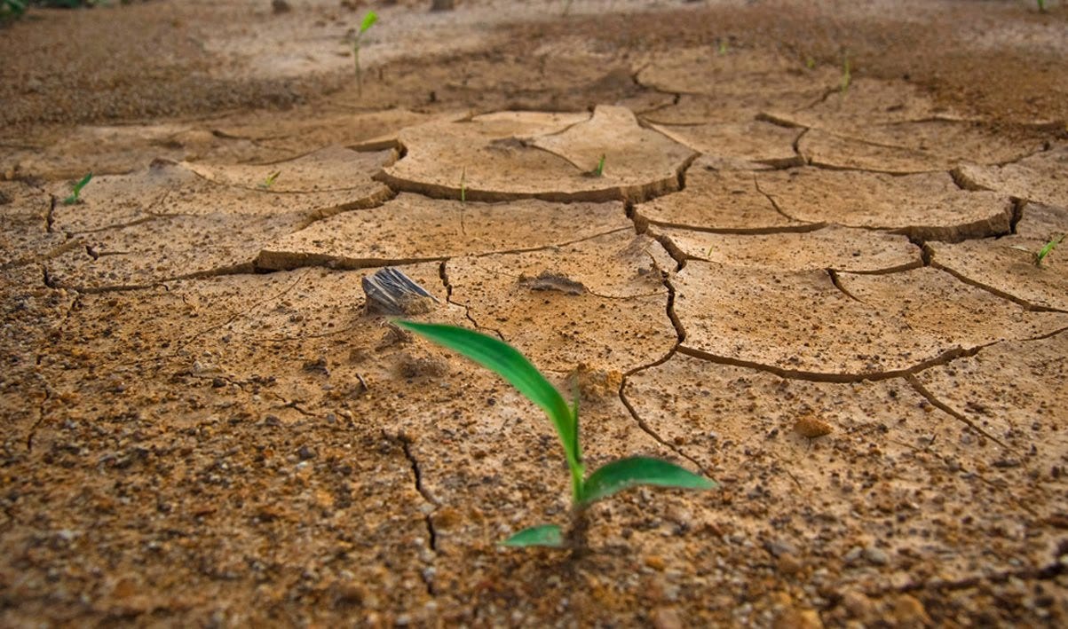 Consecuencias Del Mal Uso Del Agua Luis Martinez Ambientalis