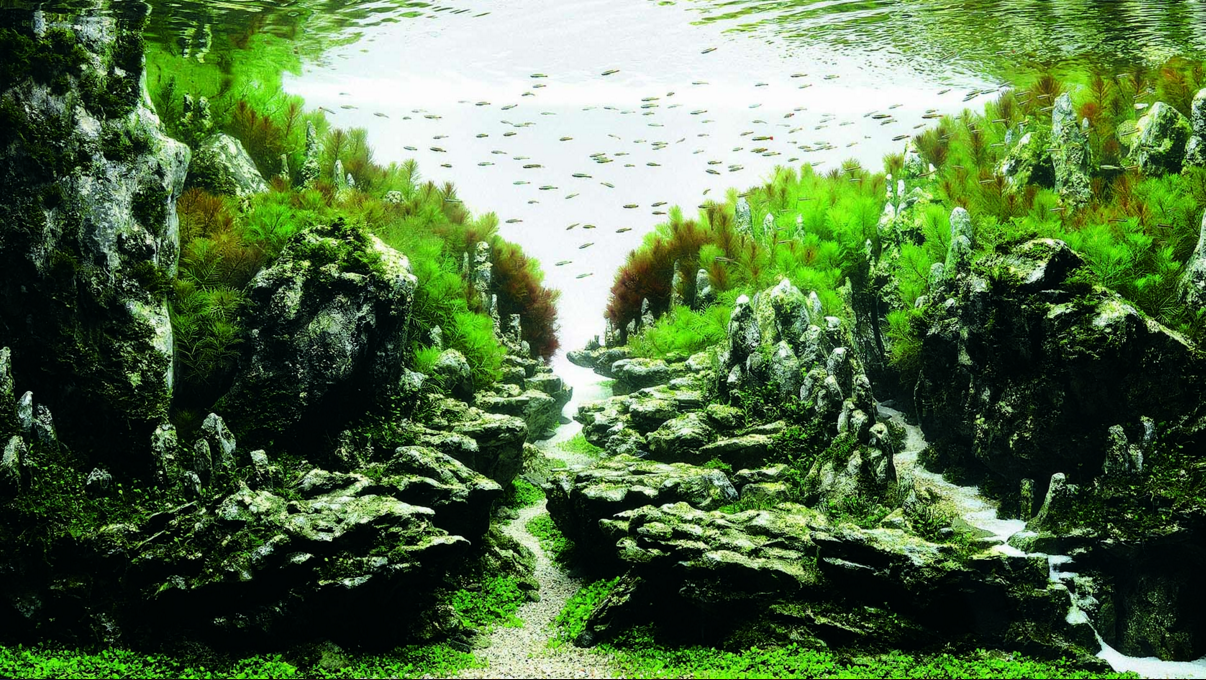 105 Aquarium Design Et Original Terbaik