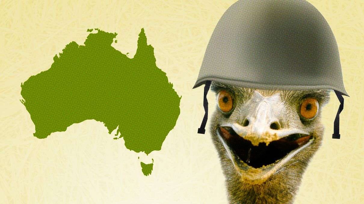 Remembering the Great Emu War. 84 years ago on this day, the military