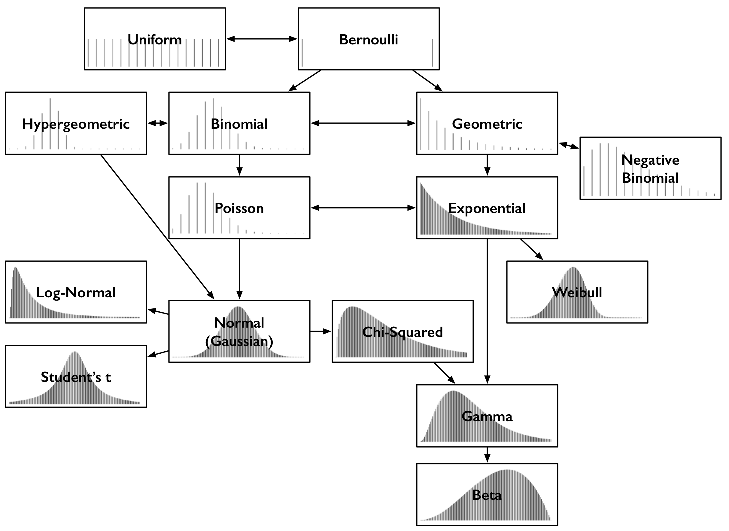 common probability distributions