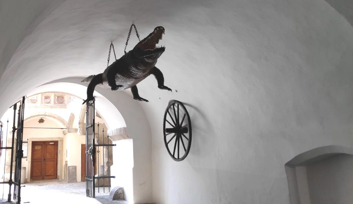 No It S Definitely A Dragon How Brno Mashed Up Its City Legend With By Mairi Bunce Medium