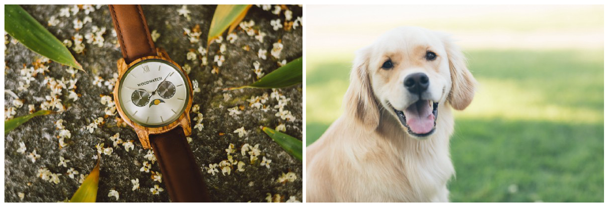 Watchdog Timers In Embedded Systems By Jules Goddard An Idea By Ingenious Piece Medium