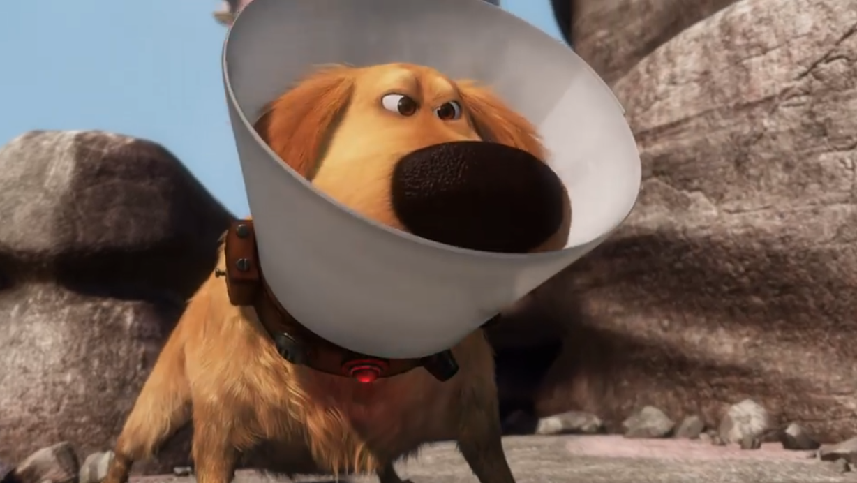 pixar dog