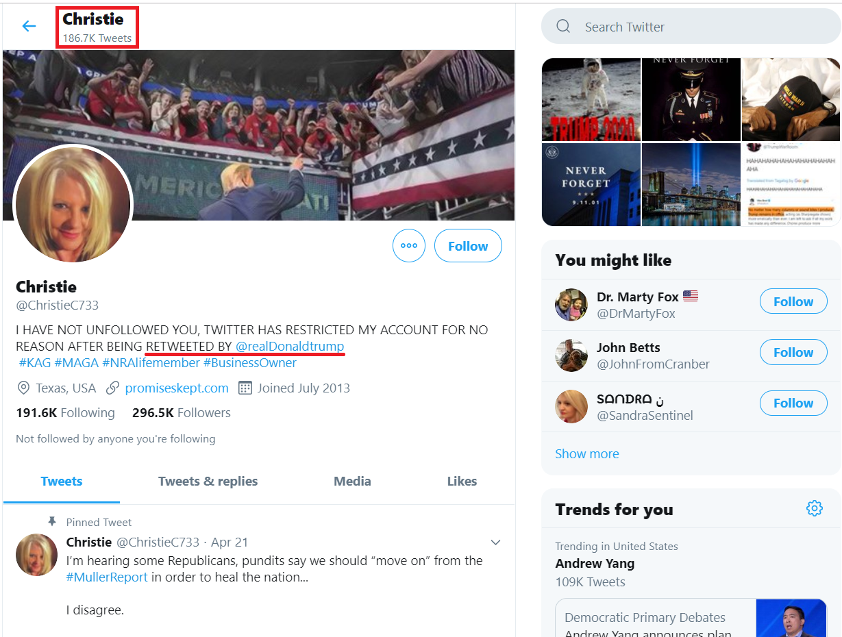 Twitter Twitter