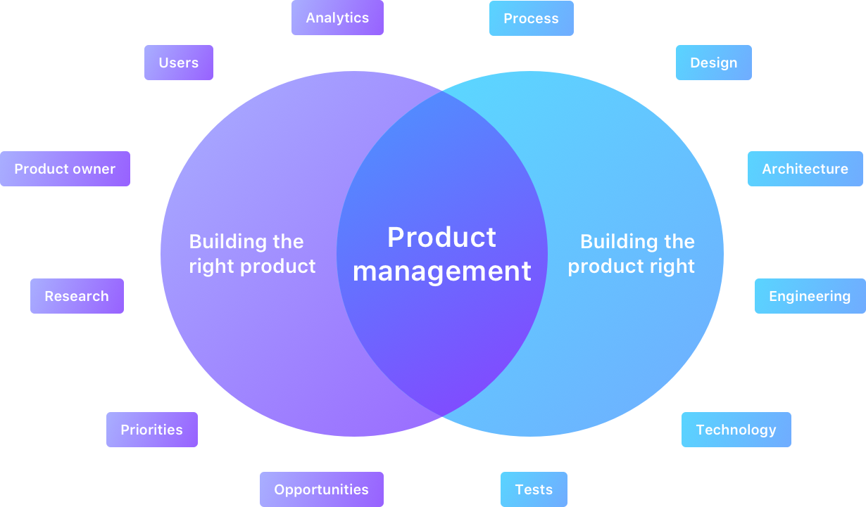 Importance of A Holistic Product Function in A Startup | by M S N