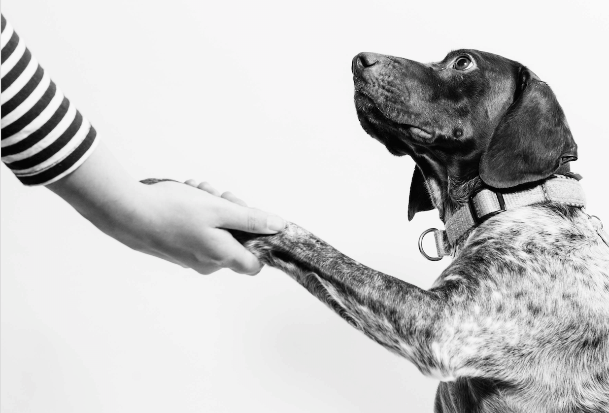 4 Simple Rules For Building Trust Between Teams - 