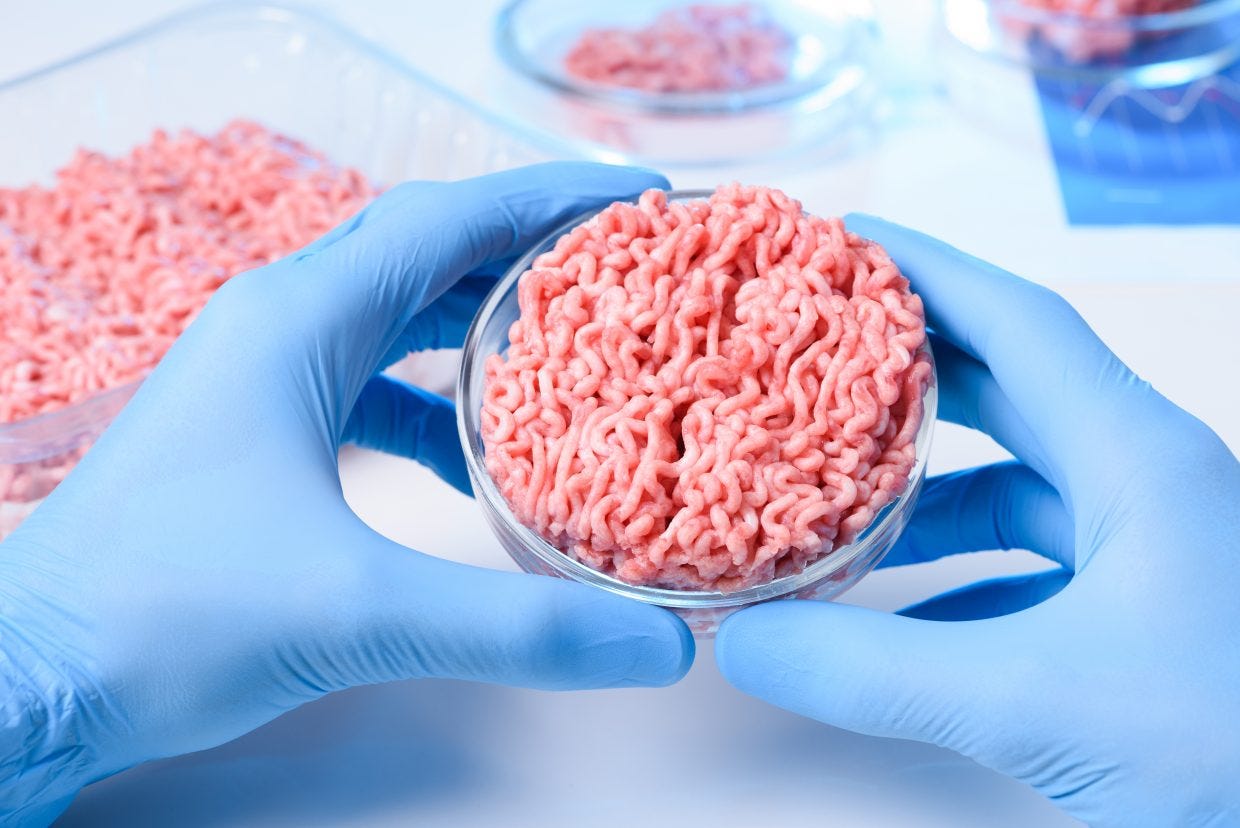 Plant And Cell Based Meat Explained Track And Food Medium