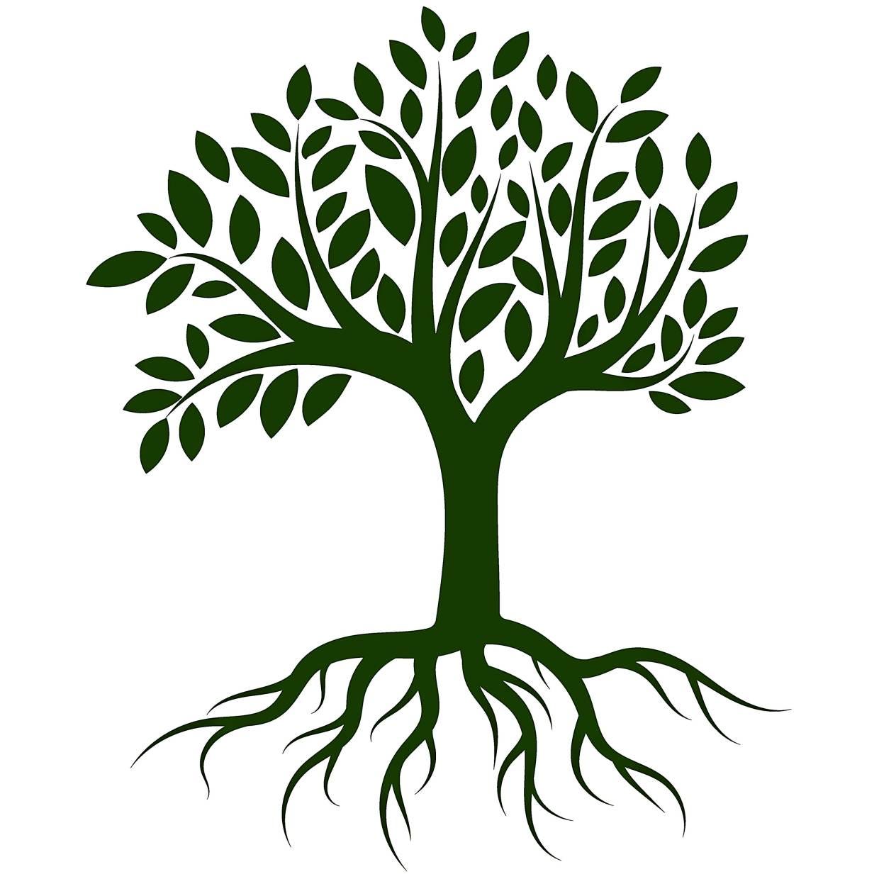 Understanding Decision Trees. You can relate our decision making… | by