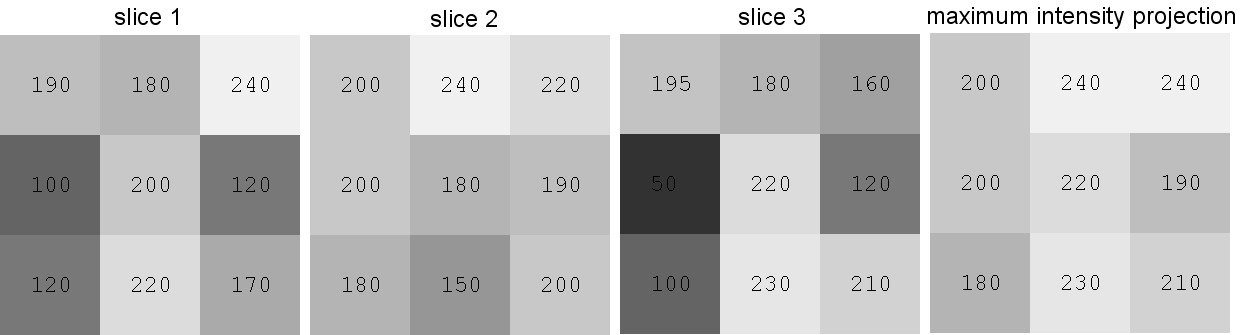 An Intoduction To Biological Image Processing In Imagej