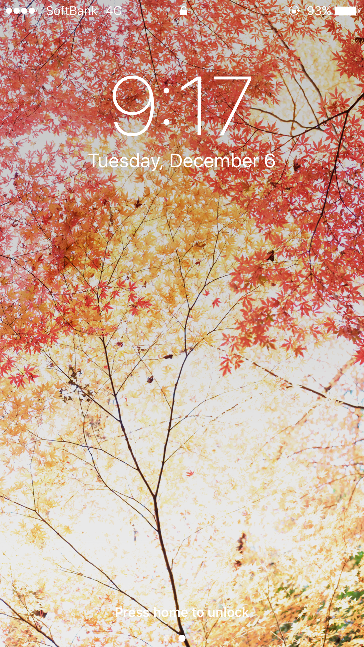 Iphone 6 の壁紙にしたらいい感じだった 平林寺の紅葉 もし必要であればflickrからオリジナルデータをダウンロードできます By Saka Medium