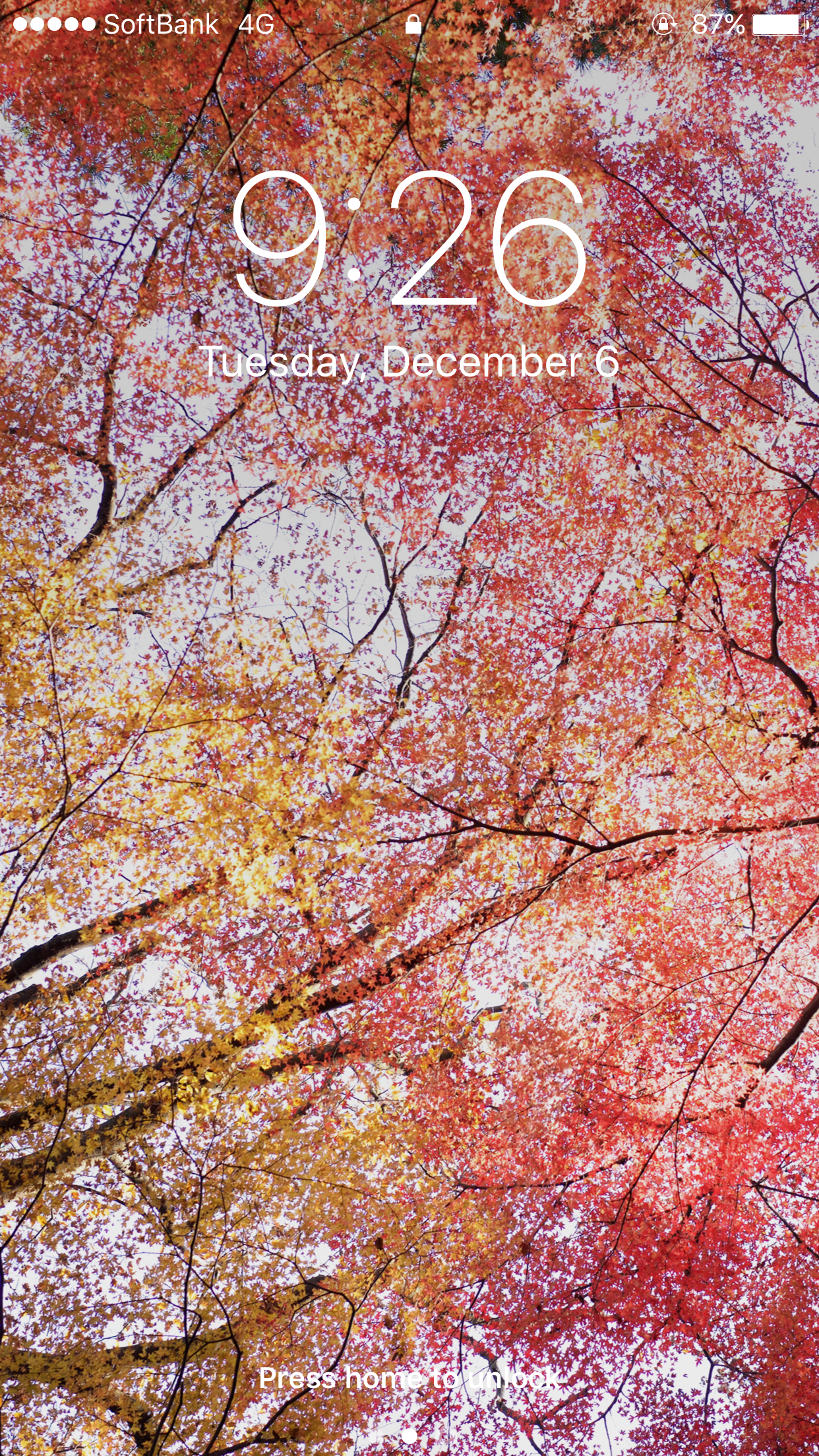 Iphone 6 の壁紙にしたらいい感じだった 平林寺の紅葉 もし必要であればflickrからオリジナルデータをダウンロードできます By Saka Medium