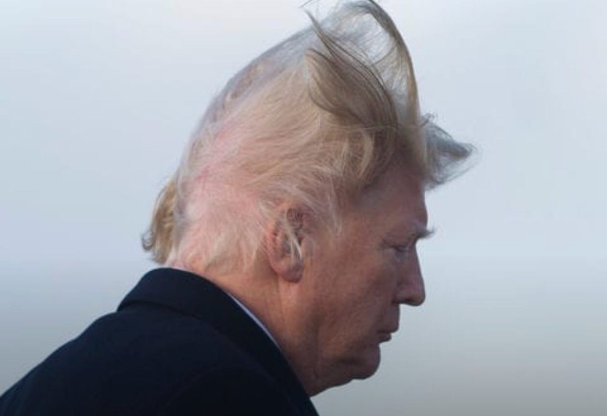 PLEASE STOP MOCKING TRUMP'S HAIR - Extra Newsfeed