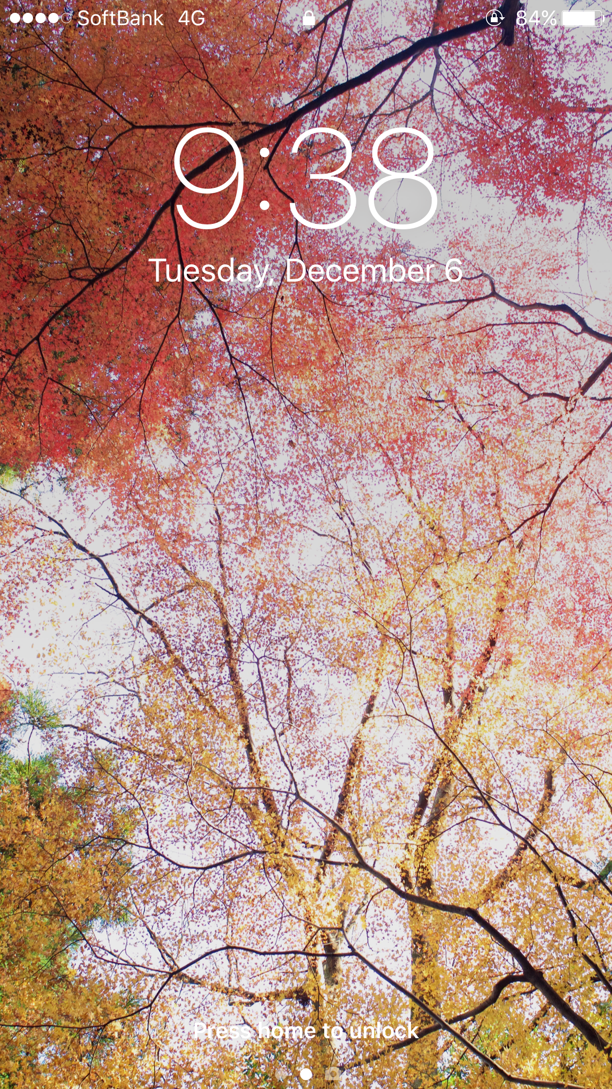 Iphone 6 の壁紙にしたらいい感じだった 平林寺の紅葉 もし必要であればflickrからオリジナルデータをダウンロードできます By Saka Medium