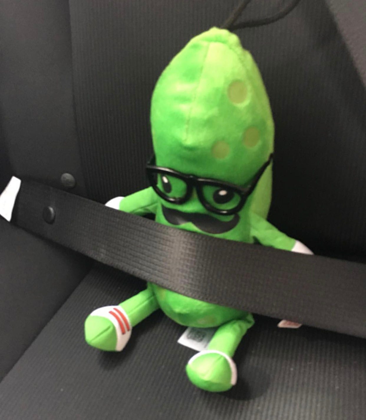 mr pickle stuffed toy