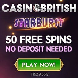 No Deposit Bonus Casino App No Deposit Bonus Casino App