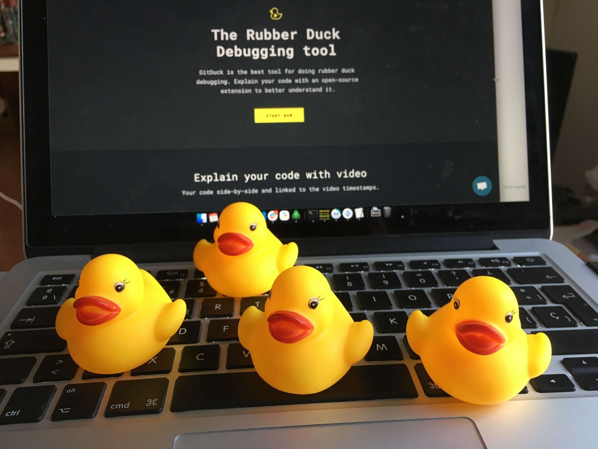 Rubberduck debugging. Rubberduck debugging.
