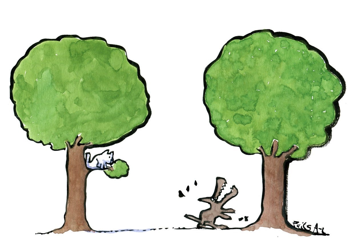 Abbaiare L Albero Sbagliato Barking Up The Wrong Tree E Un Idioma By Il Viaggiatore Pensoso Medium