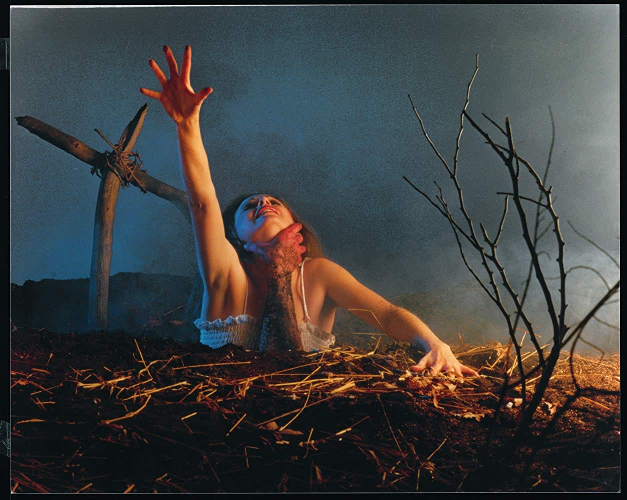 30 In 30 A Month Of Horror The Evil Dead Filmarket Hub Medium