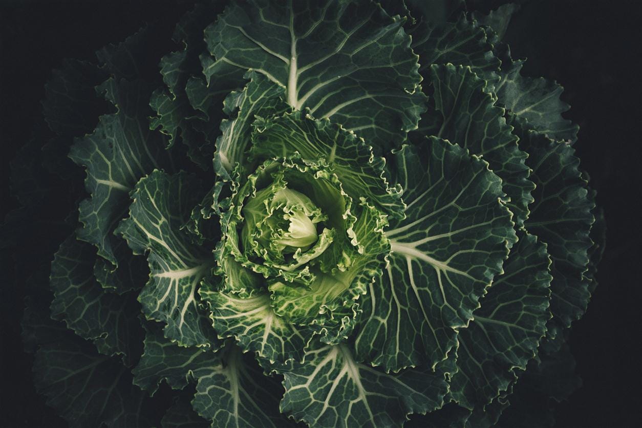 Why is Kale So Popular?. Guess What…It Has Everything to Do With… by