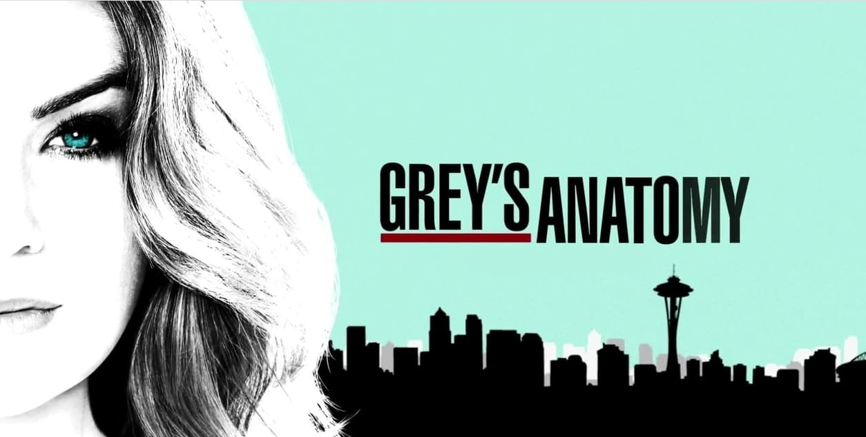 Featured image of post Greys Anatomy Skyline Png Things only grey s anatomy fans will understand
