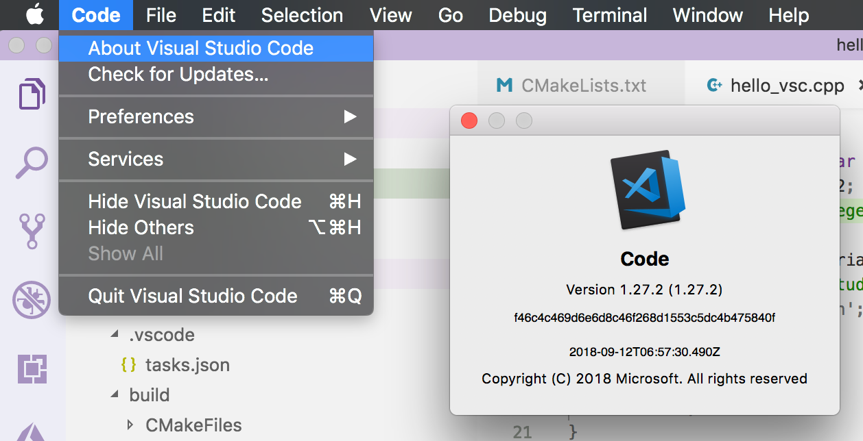 is microsoft visual studio code a compiler