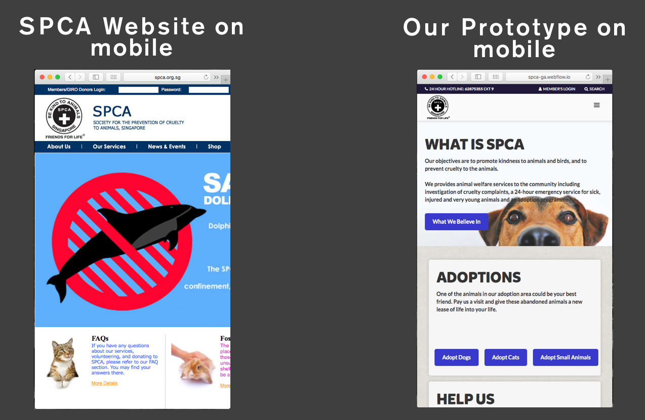 Spca 24 Hour 2025