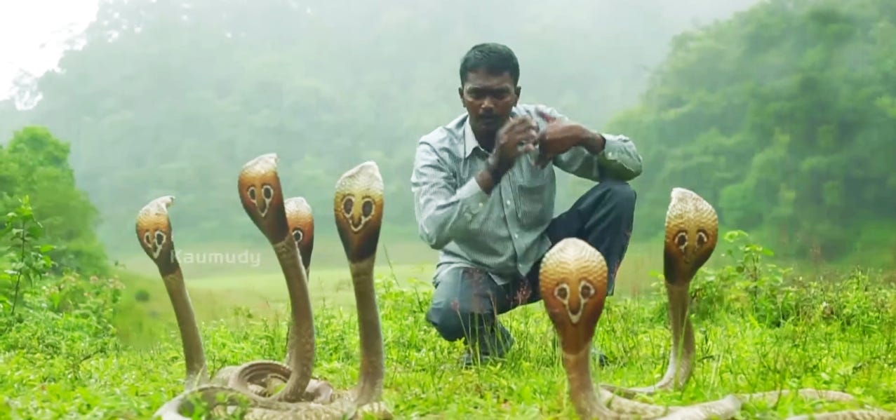 Vava Suresh ( World's best snake catcher ) | by Tanmay | Medium