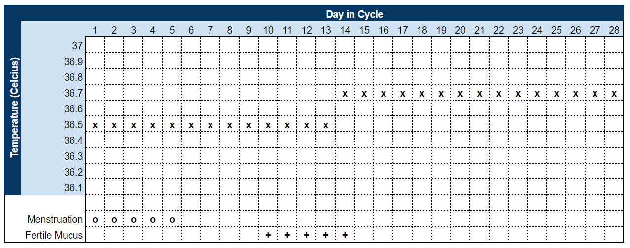 Ovulation Bbt Chart Examples