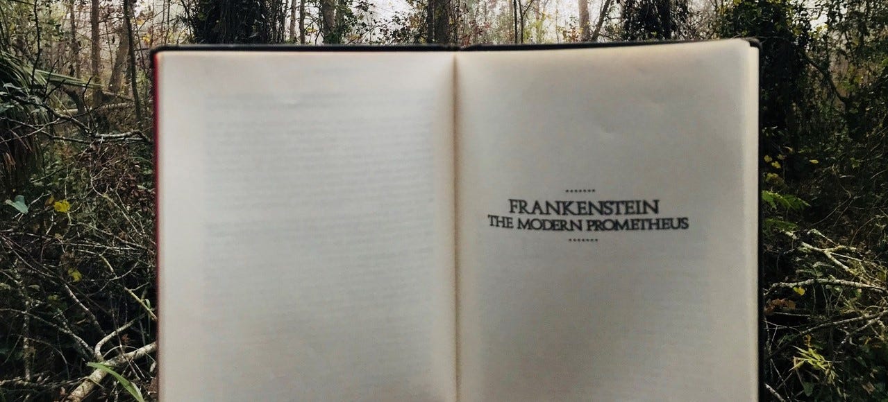 Debate Frankenstein S Monster Lauren Bailey Medium