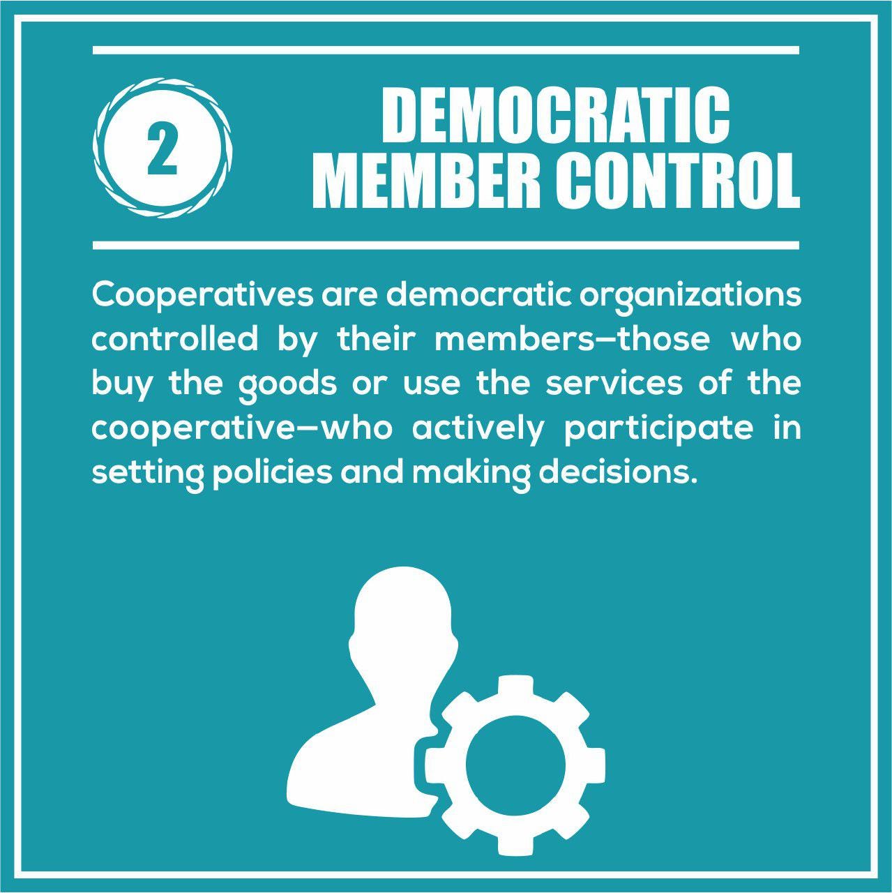 COOPERATIVE MEANING SIMPLE visual data 6