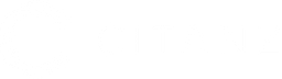 Chinese IT Association NZ